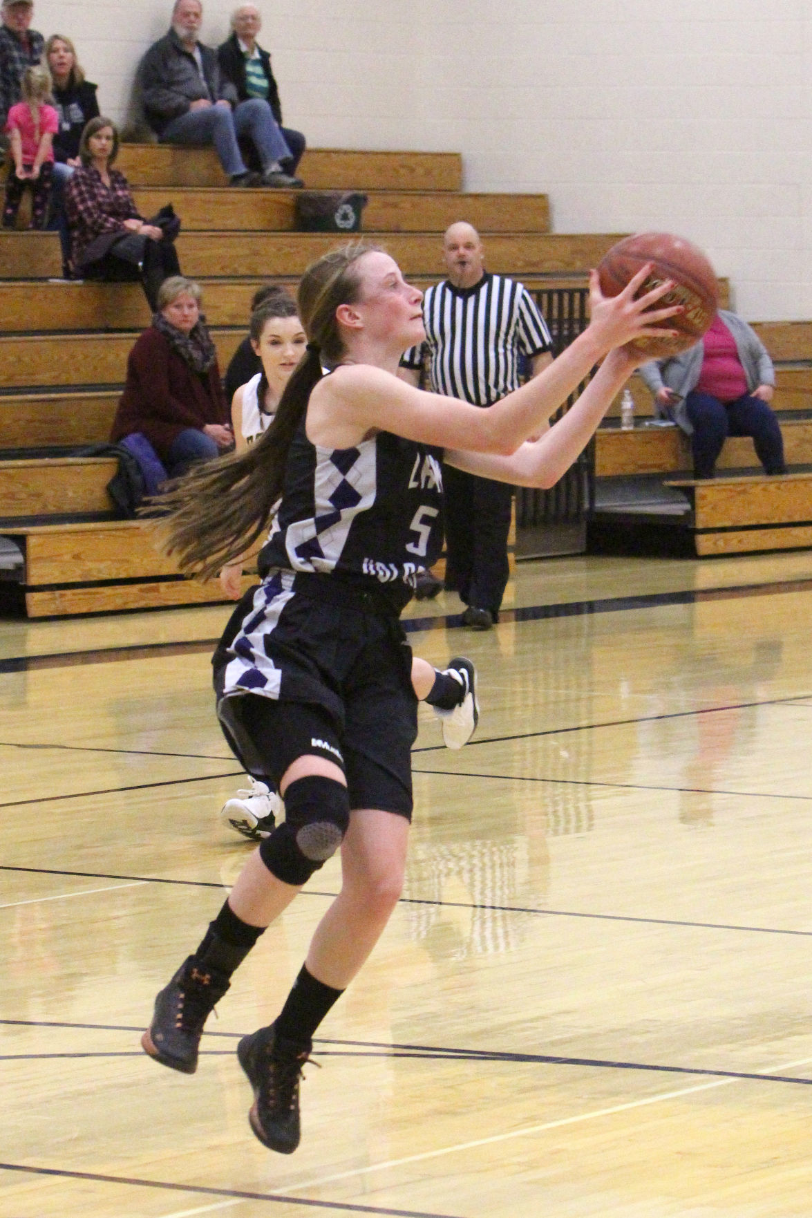 Lake Holcombe at New Auburn girls basketball 2-14-19